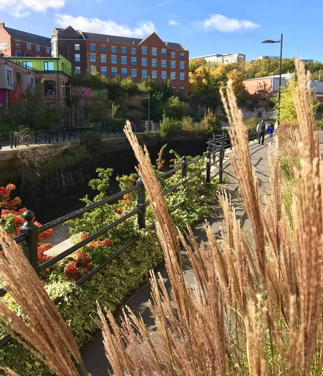 Ouseburn Valley Views