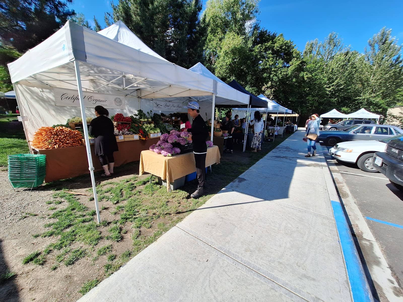 Fresh Produce & Local Foods