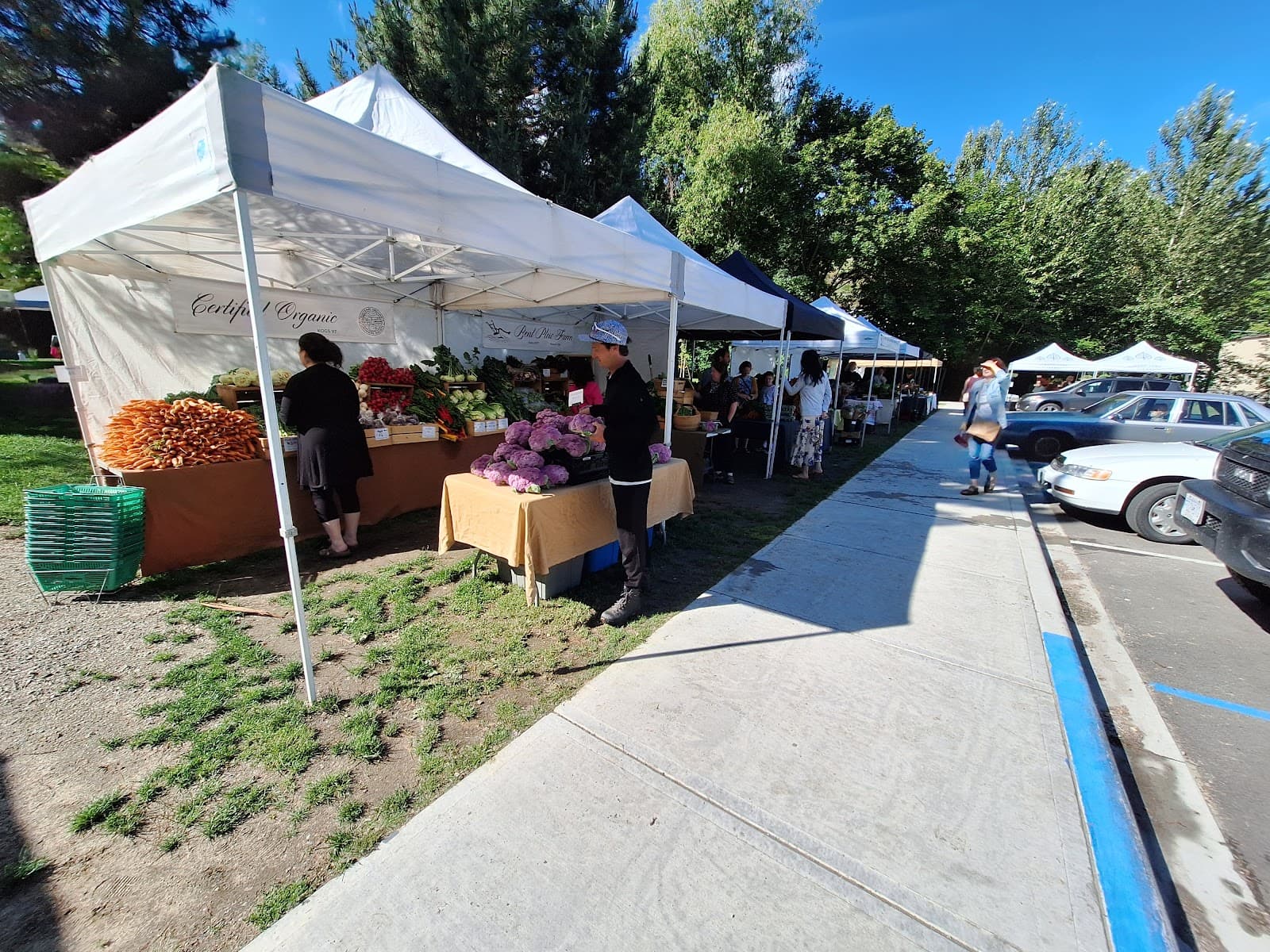 Cottonwood Market - Image 1