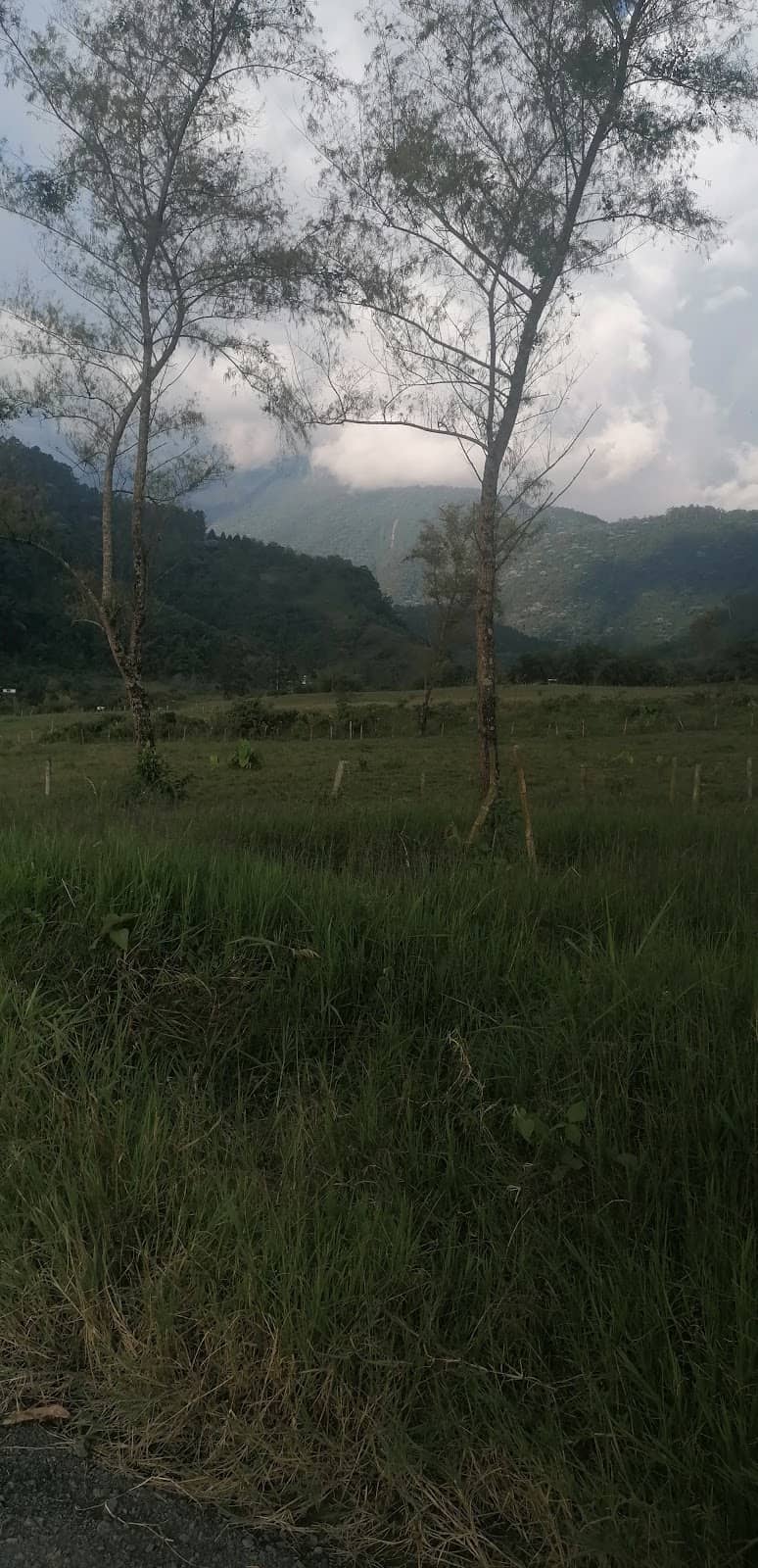 Covered Sports Court