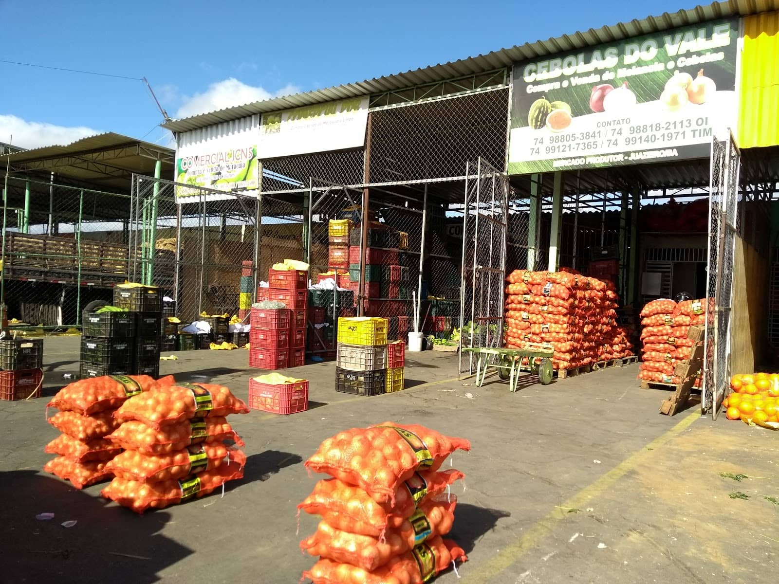 Vibrant Market Atmosphere