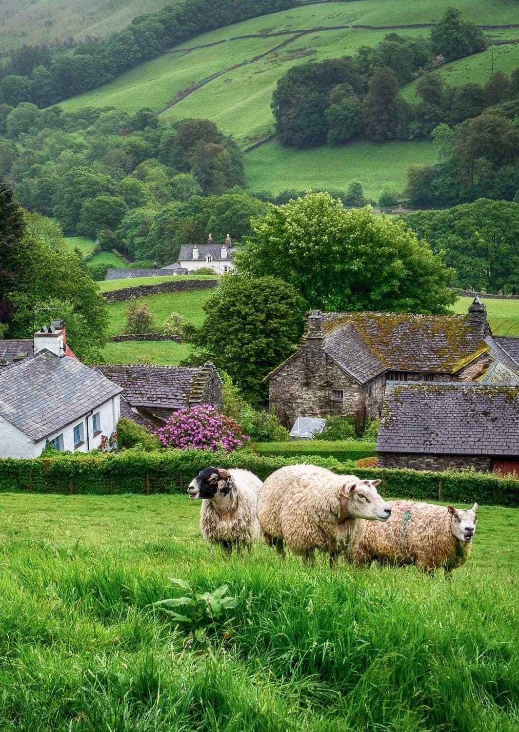 Troutbeck Village - Image 1