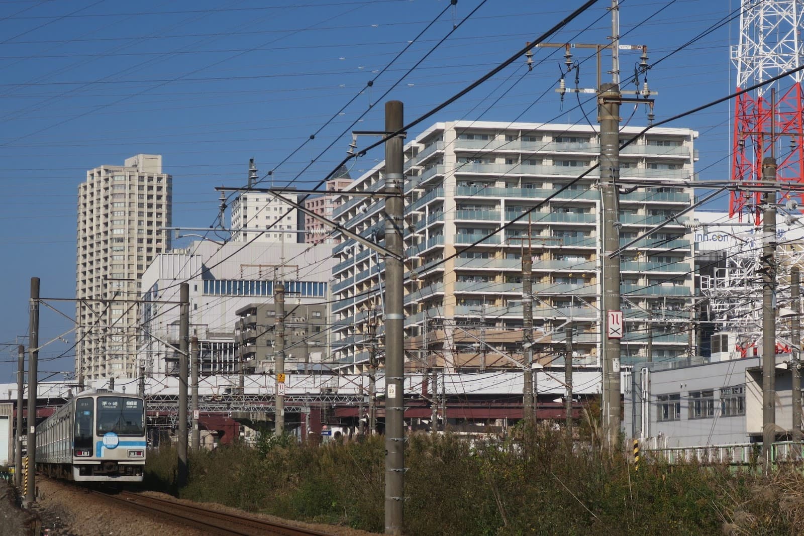 Hashimoto - Image 1