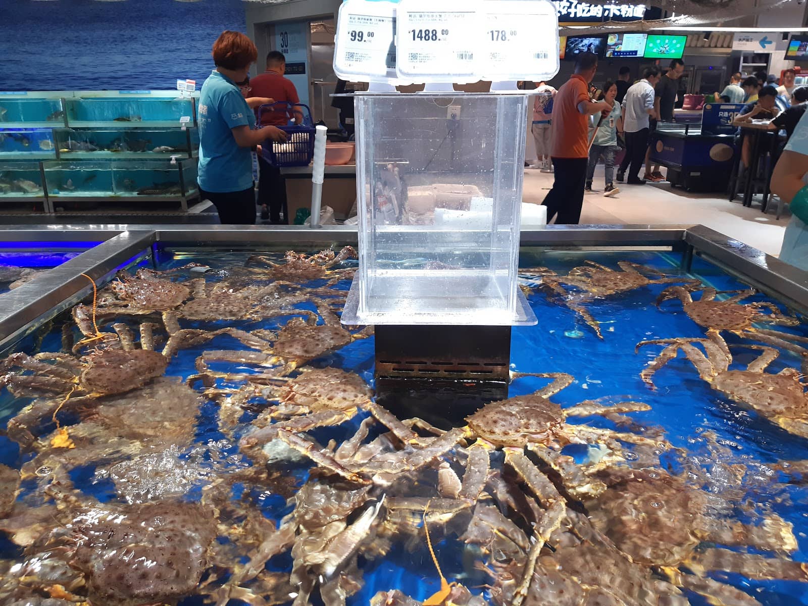 Jewelry & Accessories