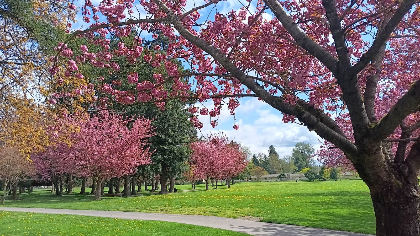 Les Gove Park - Image 1