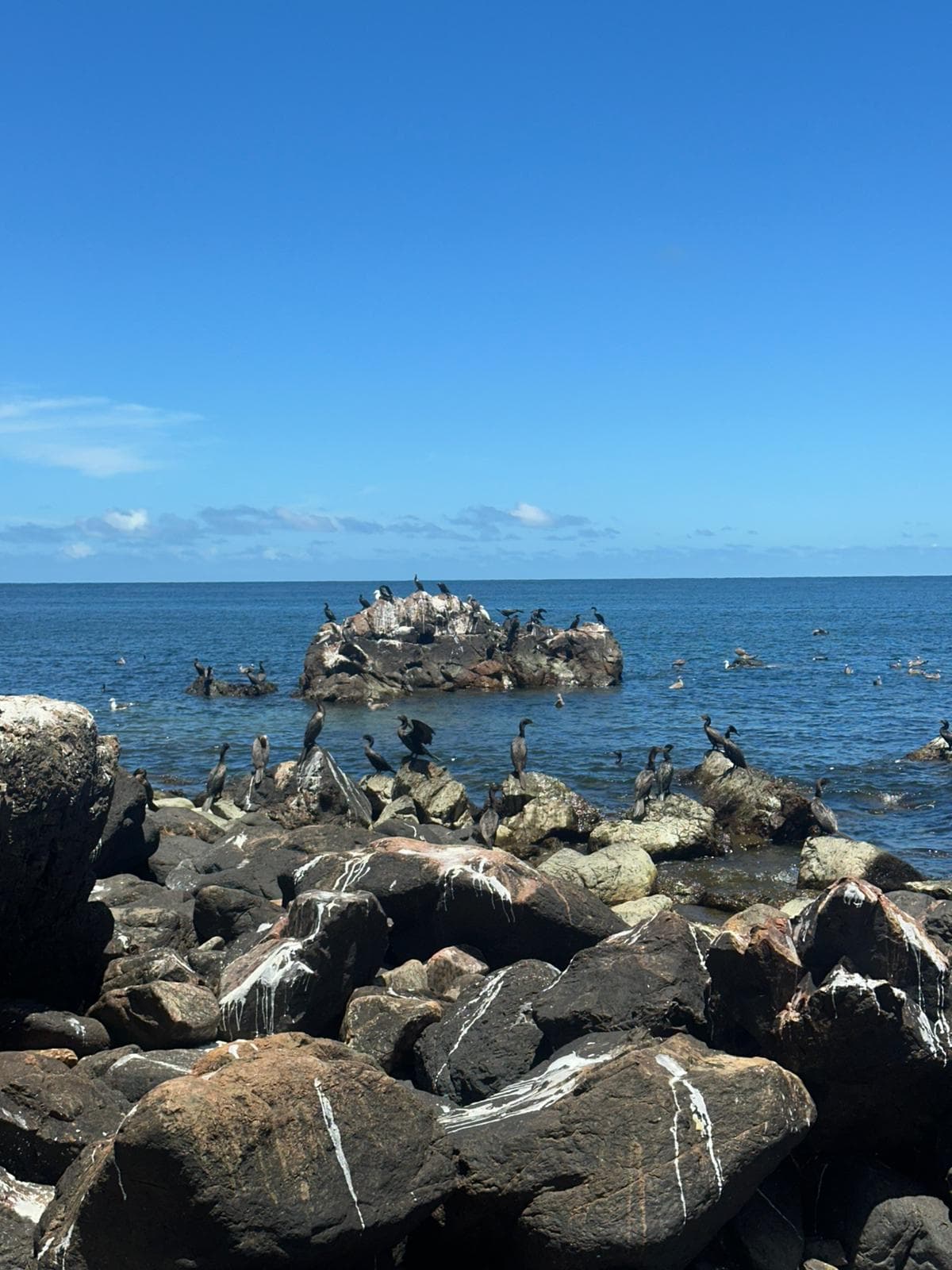Punta Fría - Image 1