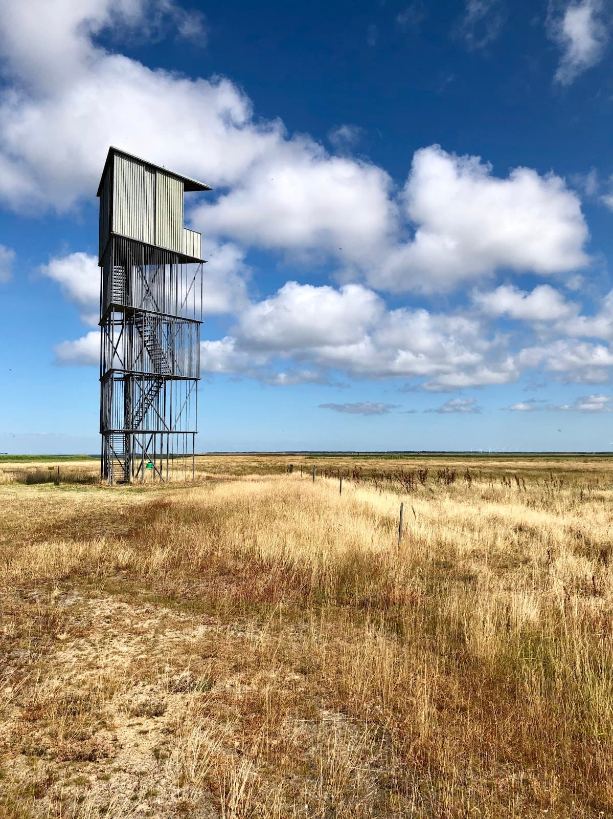 Tipperne Bird Sanctuary - Image 1