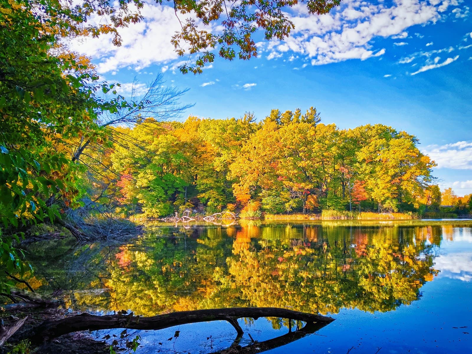 Durand Eastman Park - Image 1