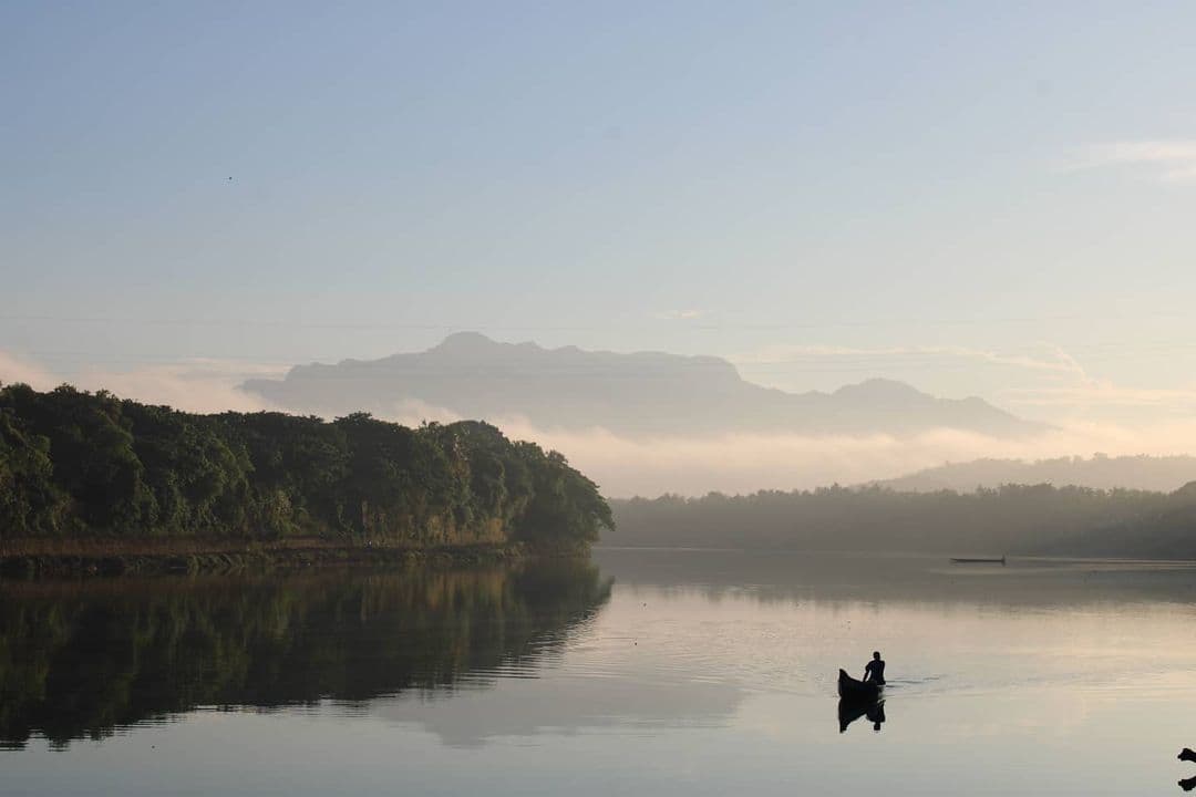 Chaliyar River - Image 1