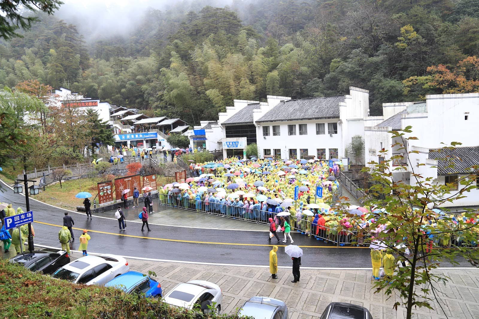 Back Mountain Trails