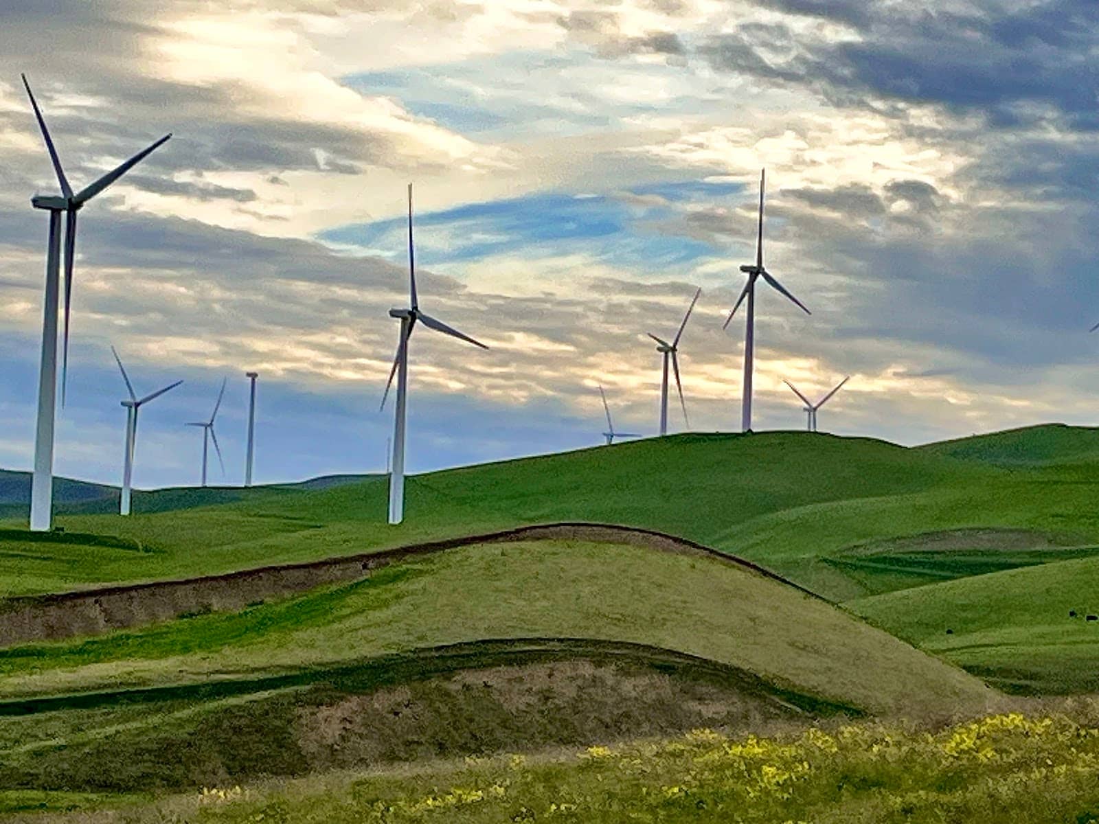 Rolling Green Hills