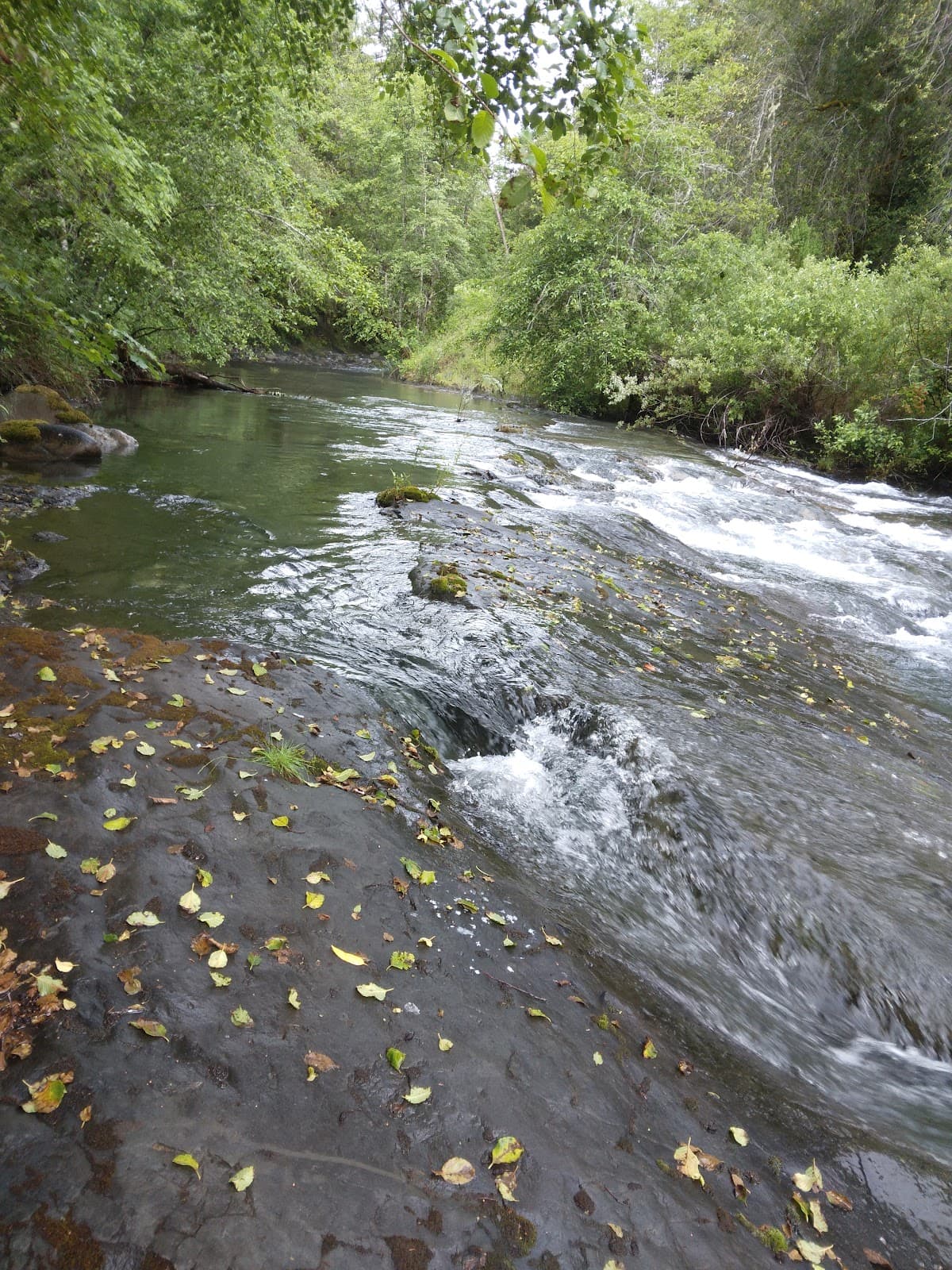Foster Bar (Rogue River) - Image 1