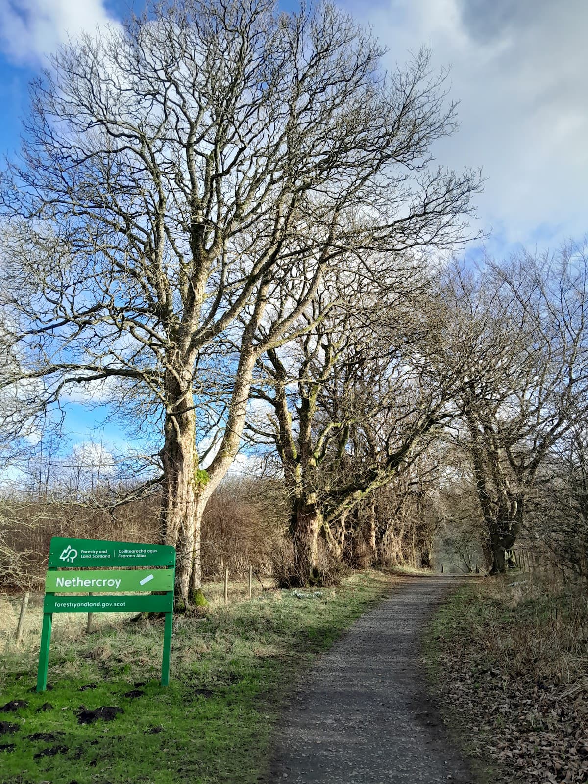 Nethercroy Wood viewpoint - Image 1