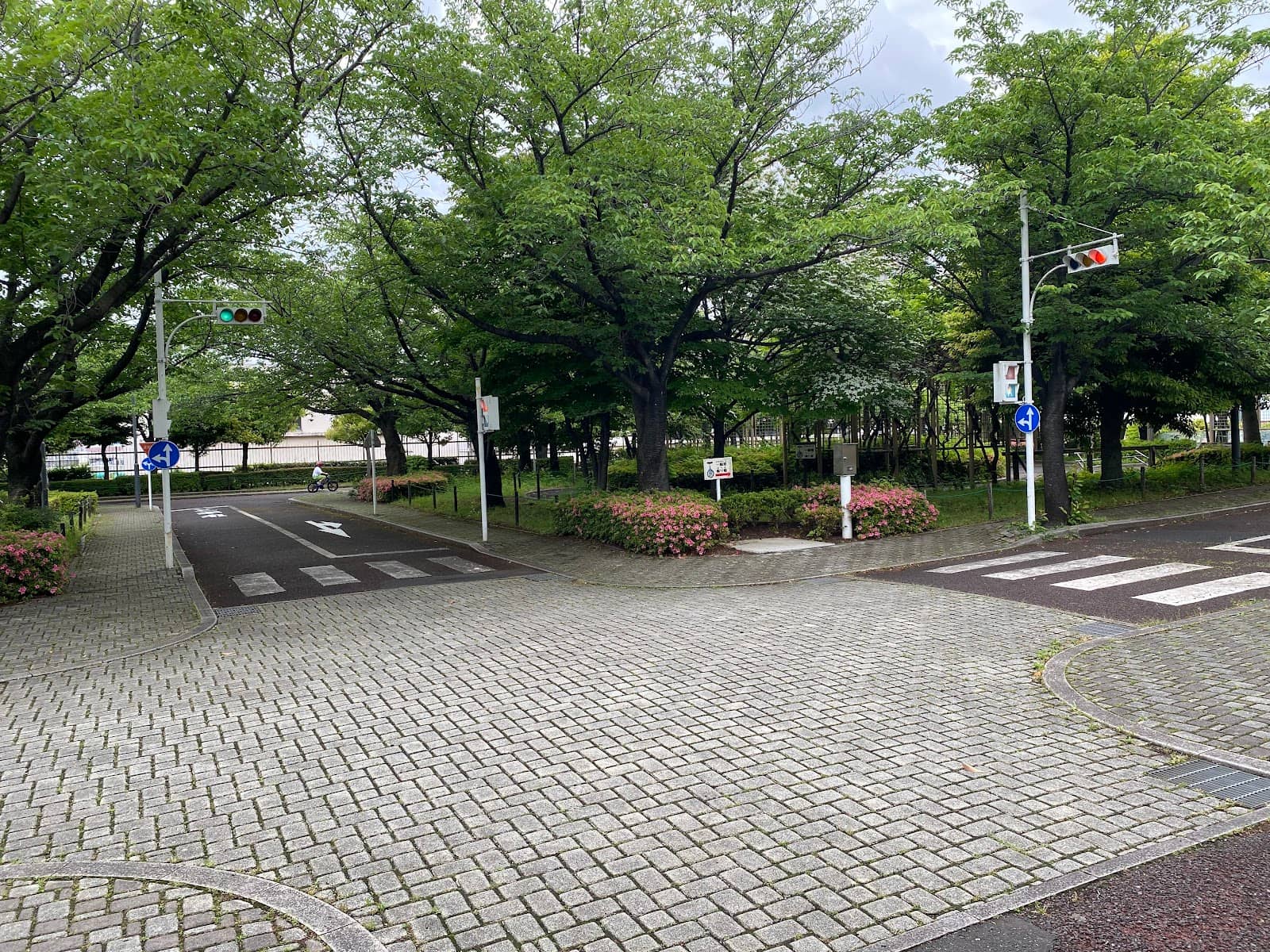 Traffic Park Fun