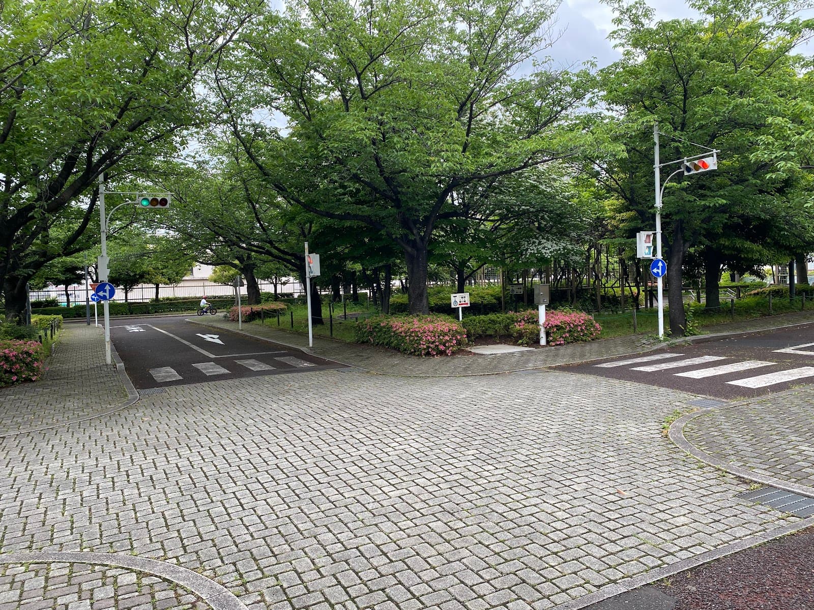 Arakawa Cycling Road (Adachi) - Image 1