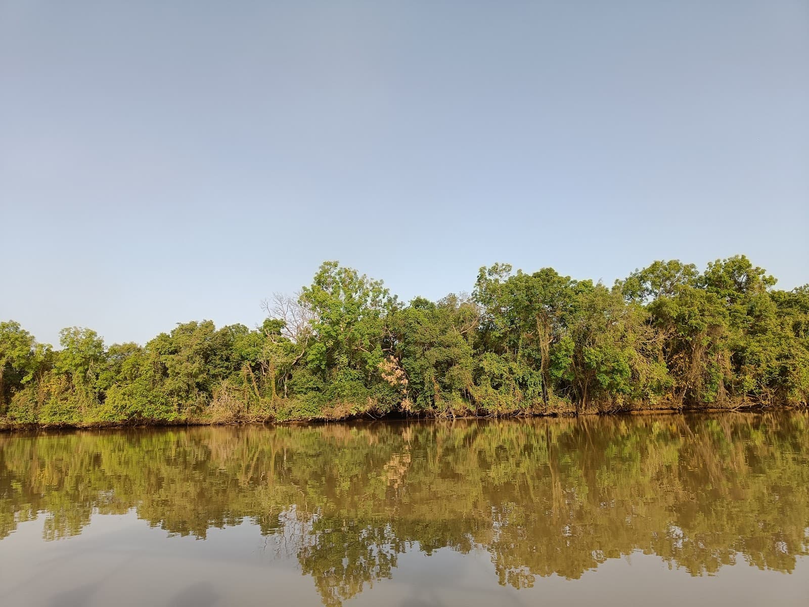 River Gambia National Park (Baboon Islands) - Image 1