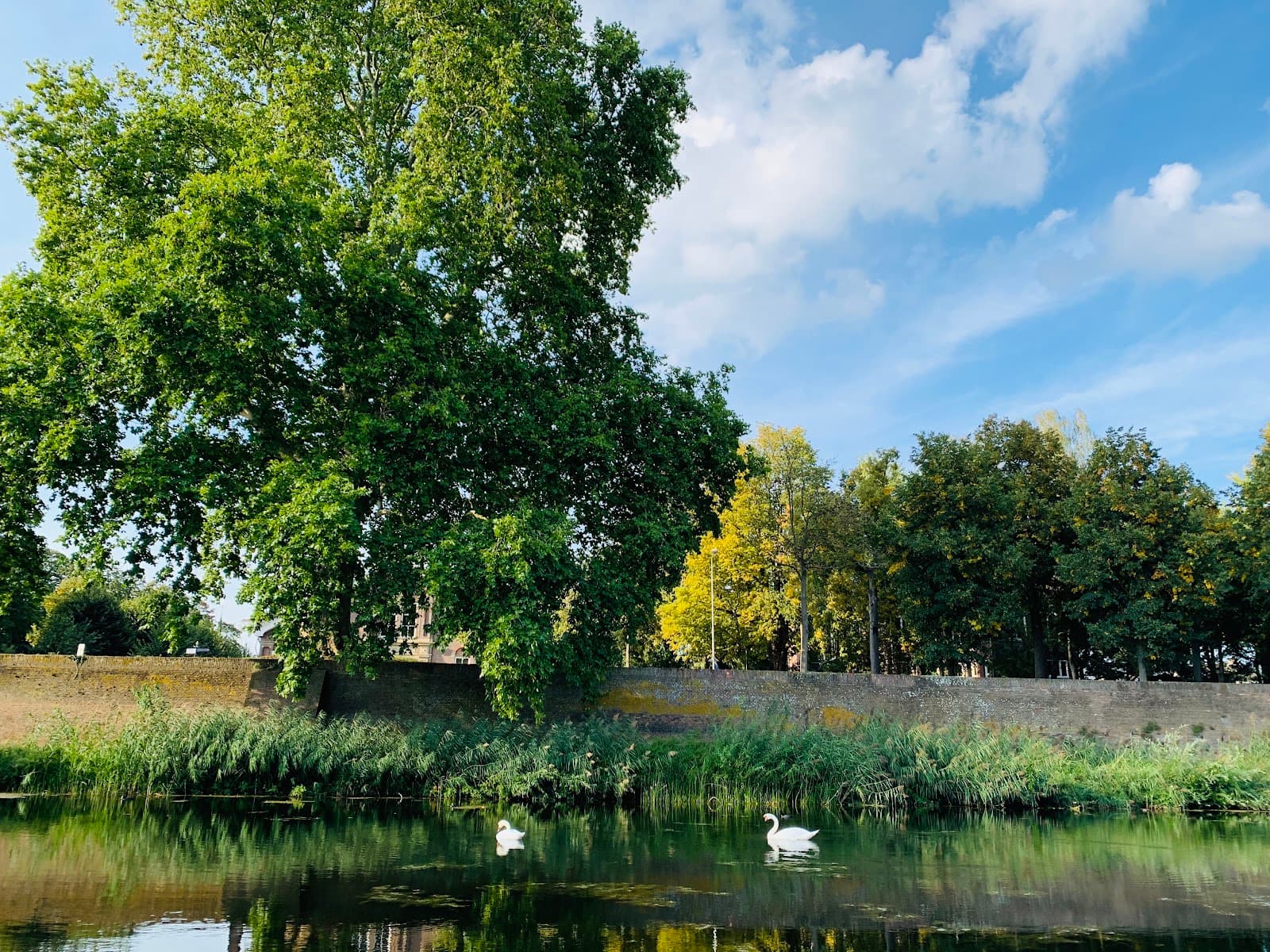Stadswalzone City Ramparts Park - Image 1
