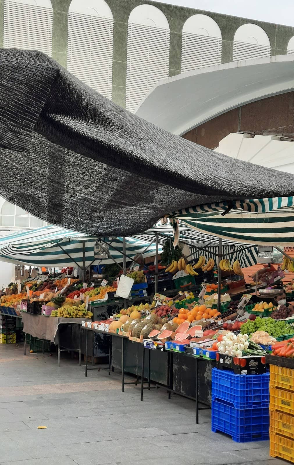 Fresh Produce Galore