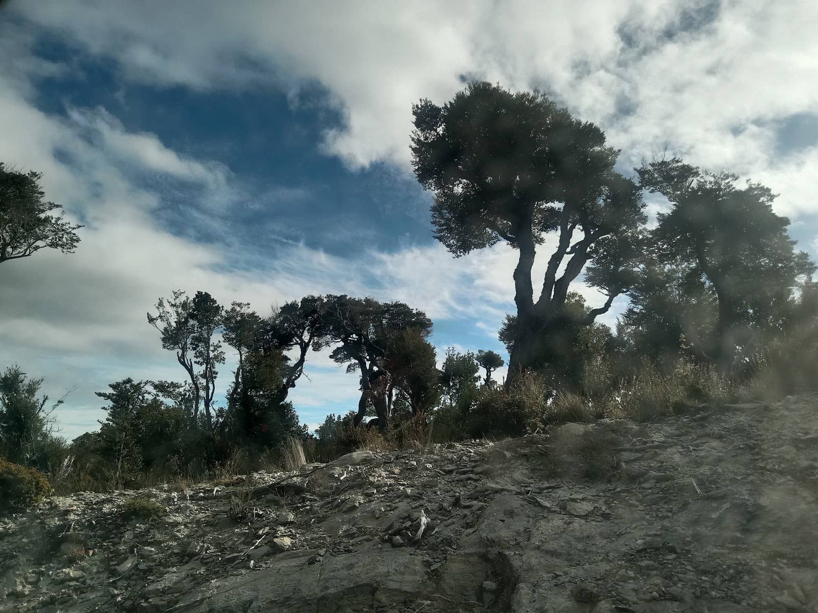 Vertical photo