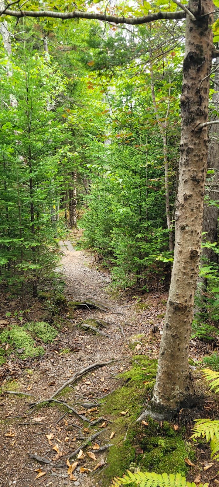 Harpswell Neck Scenic Byway - Image 1