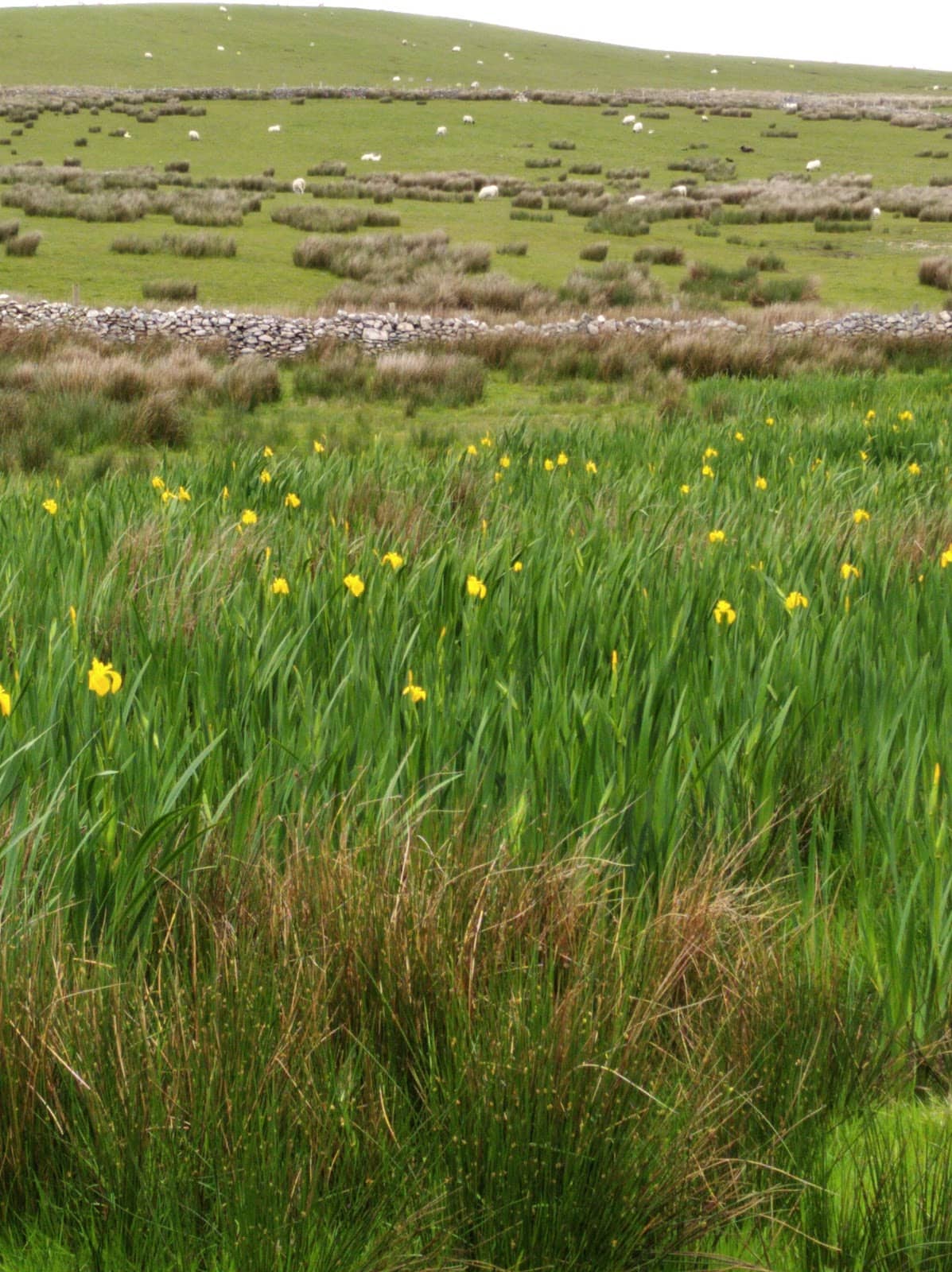 Third hero image