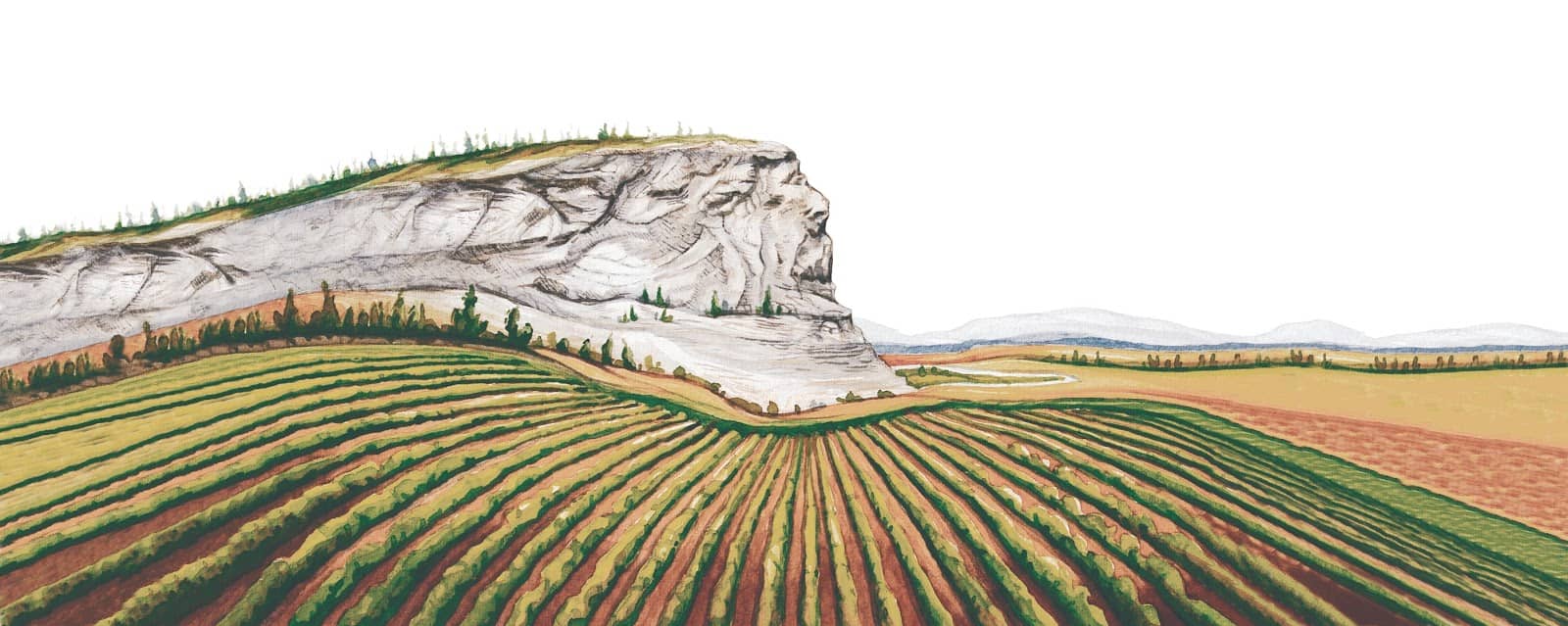 Live Music & Wine Tasting