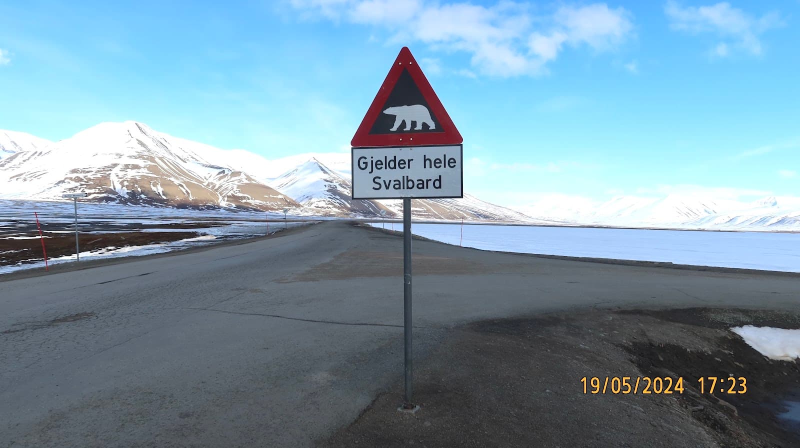 Polar Bear Warning Sign - Image 1