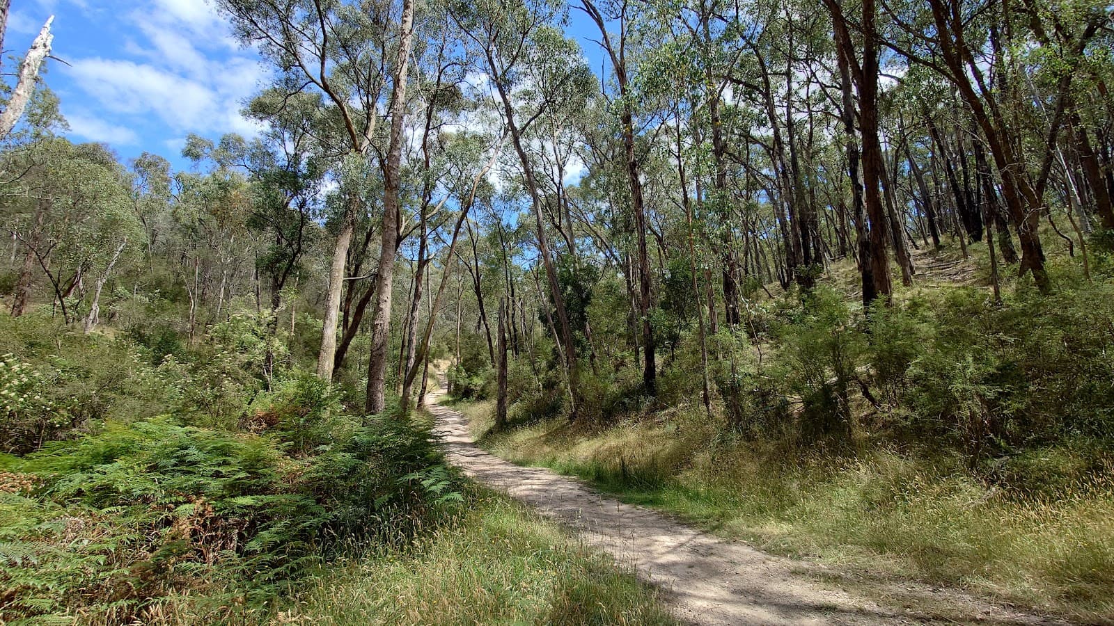 Warrandyte Gold Heritage Walk - Image 1