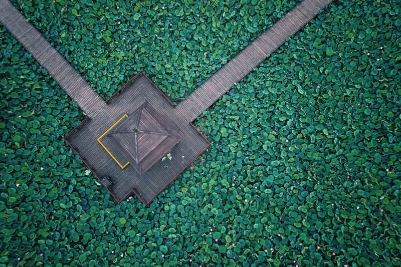 Lianghong National Wetland Park - Image 1