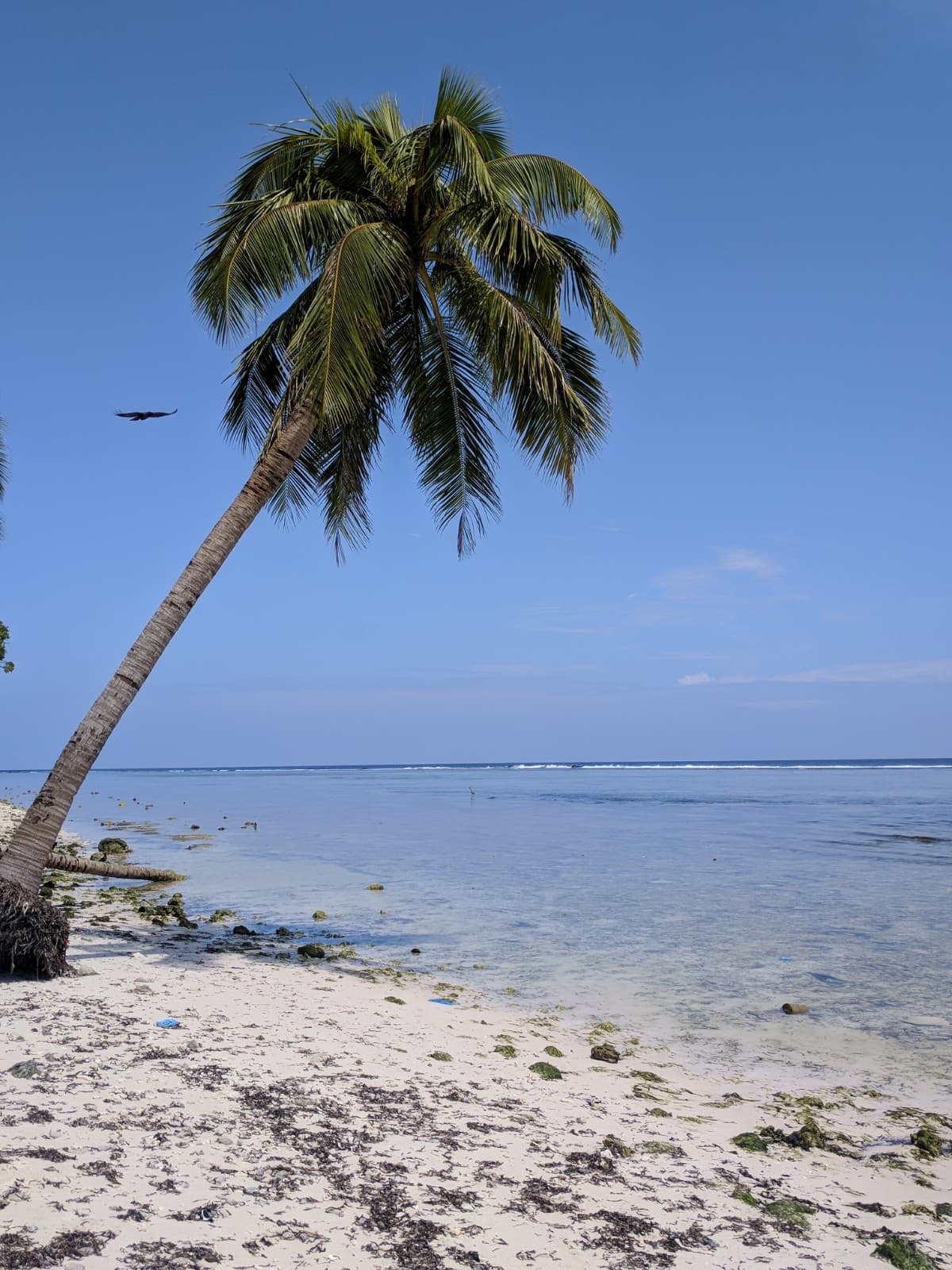 Gan Island Laamu - Image 1