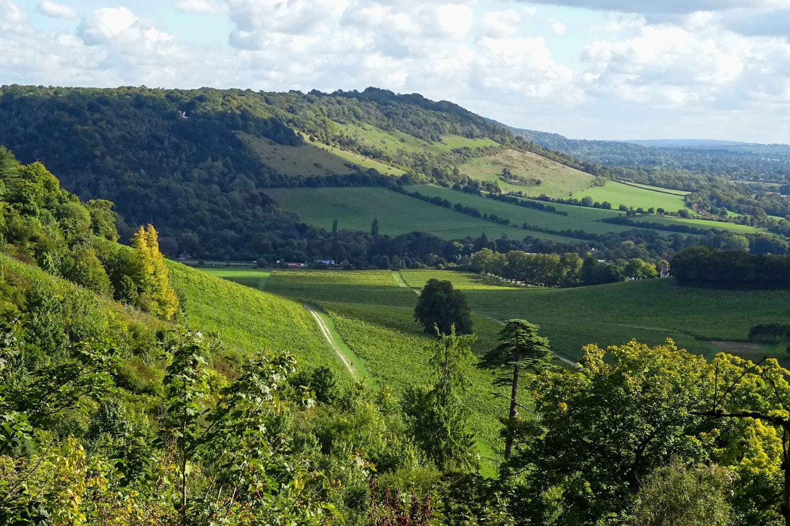 Burford Hill Viewpoint - Image 1
