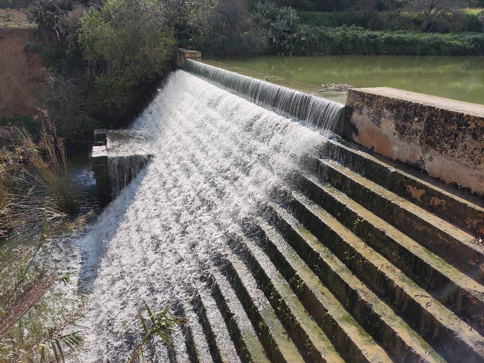 Vertical photo