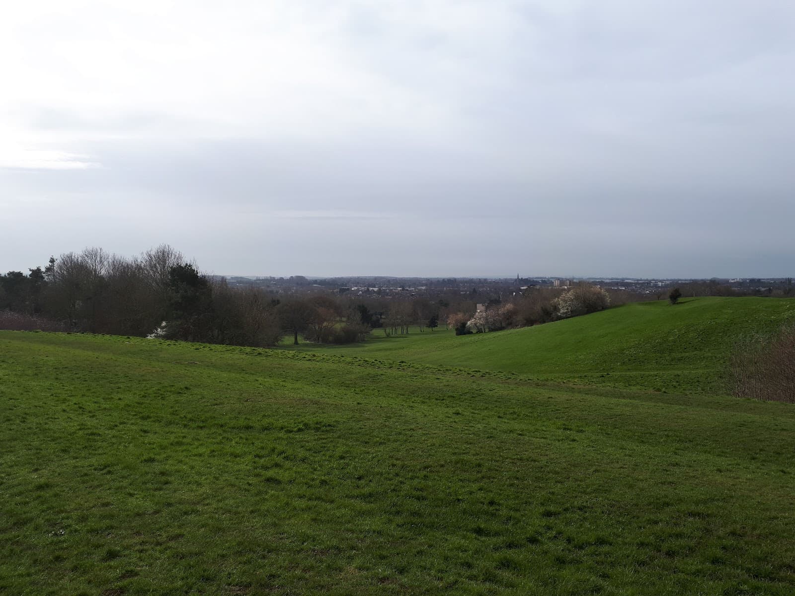 Leam Valley Nature Reserve - Image 1