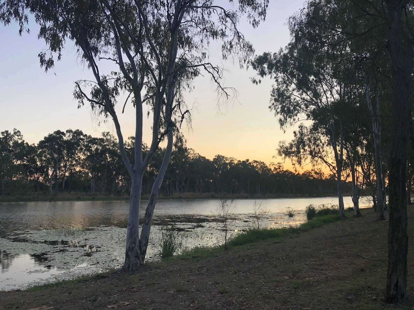 Scenic Walking Track