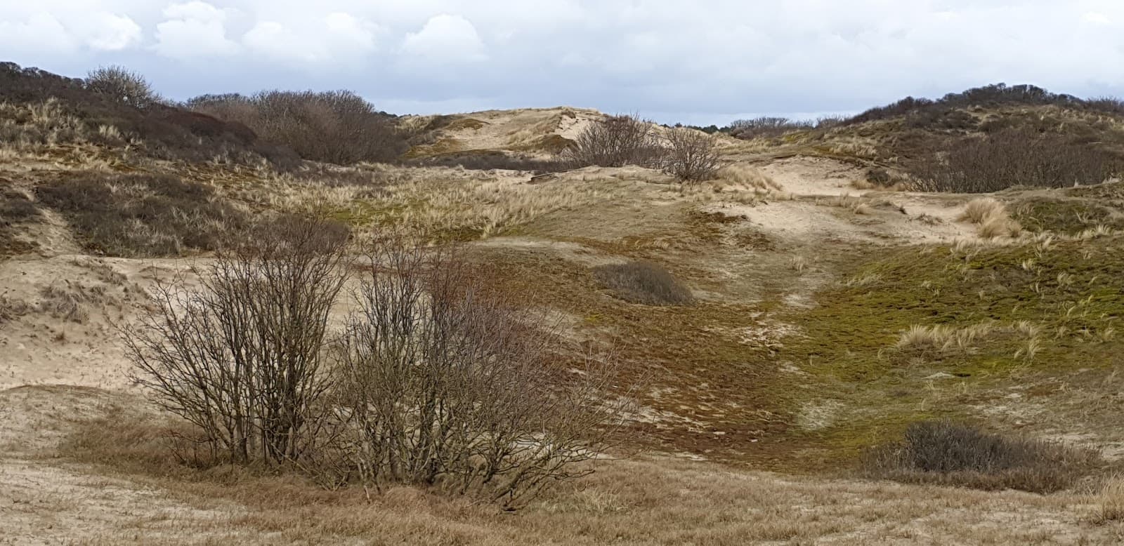 Duindamseslag Beach - Image 1