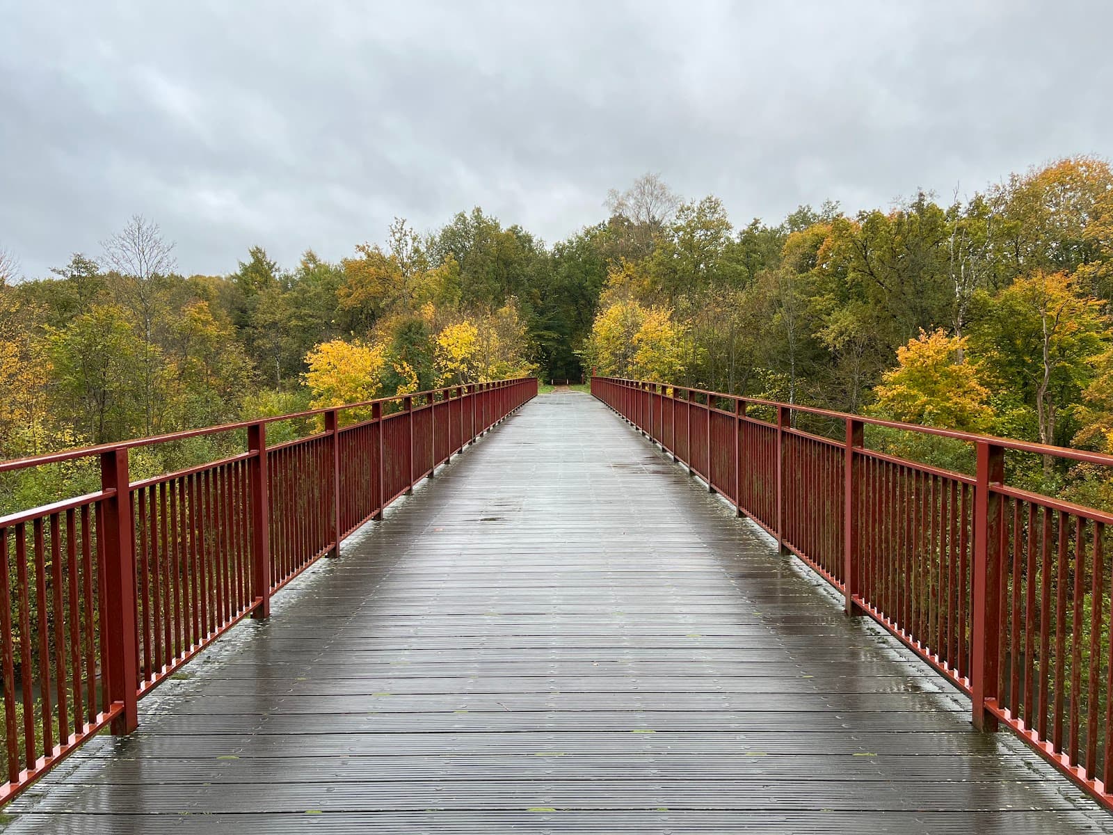 Den Genfundne Bro (Uncovered Bridge) - Image 1