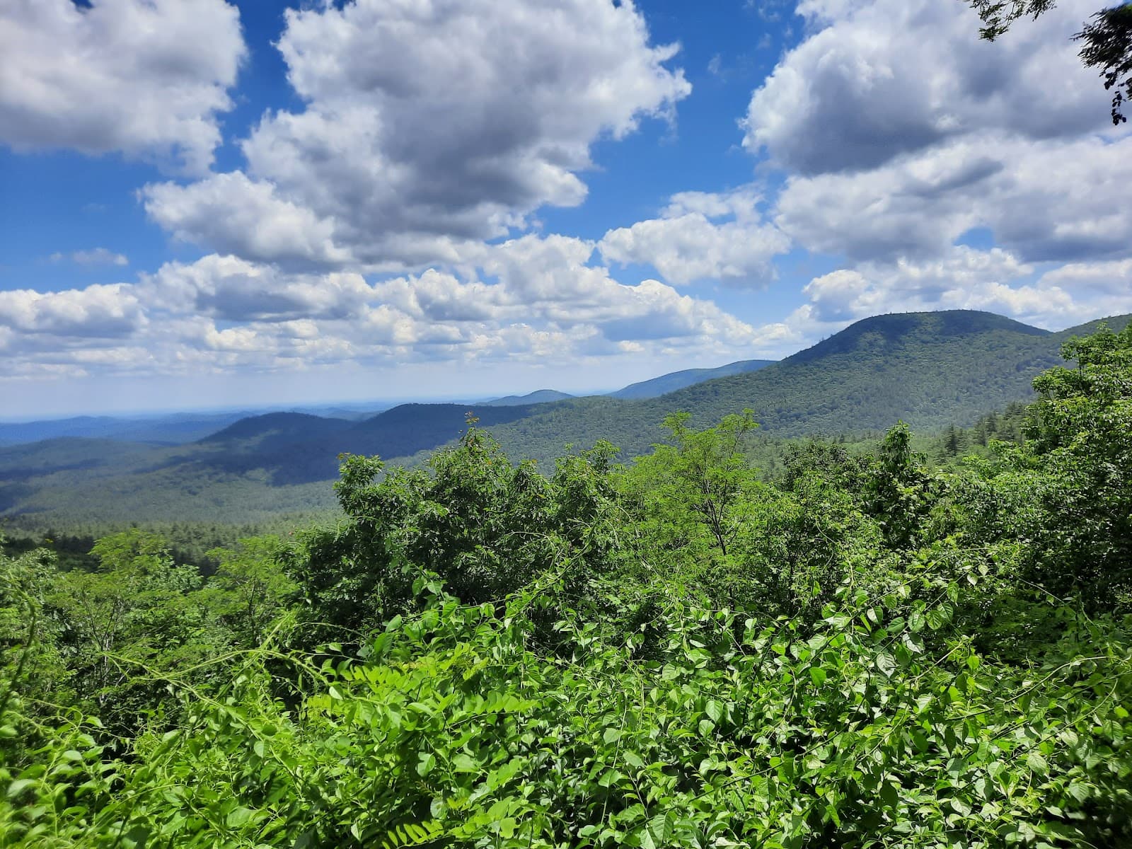 Blue Valley Overlook - Image 1