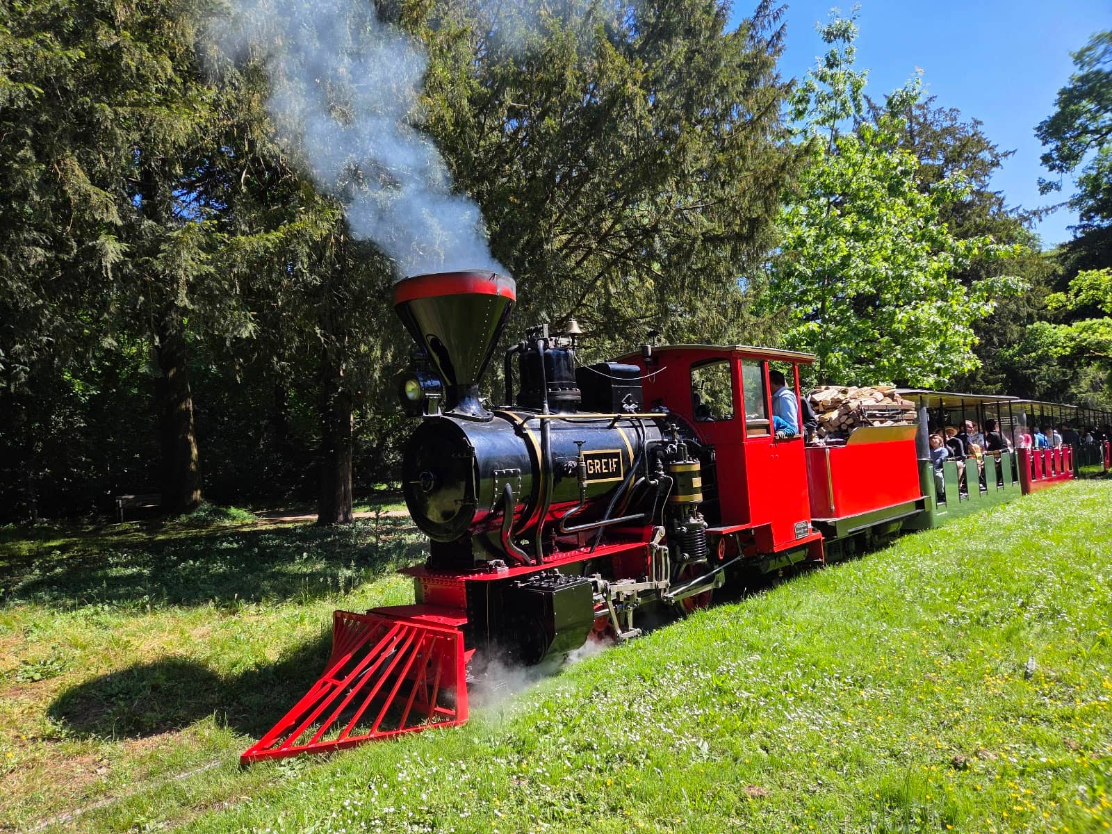 Red Squirrel Spotting