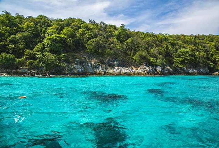 Banana Bay - Image 1