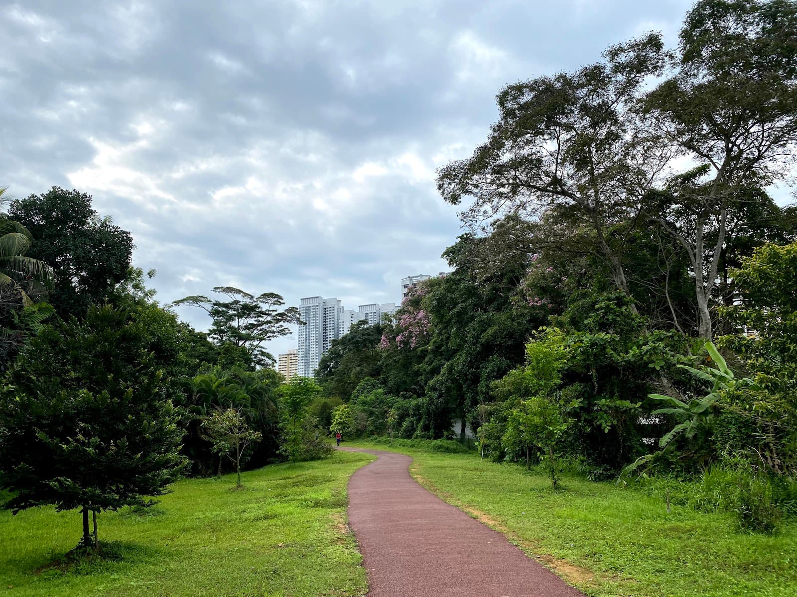 The Green Corridor - Image 1