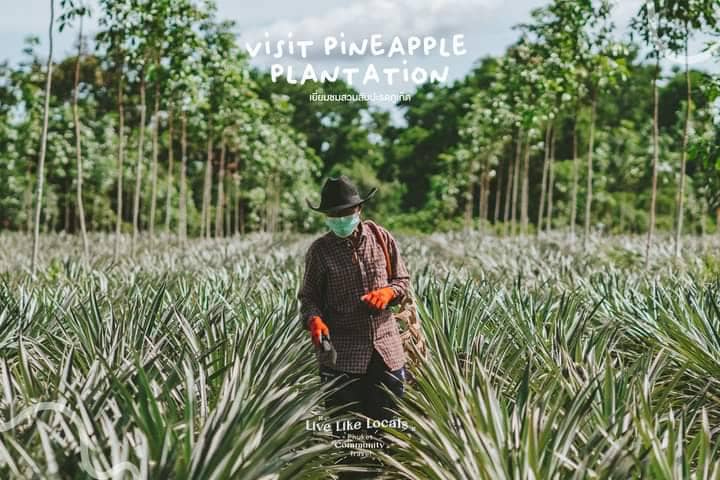 Community Interaction