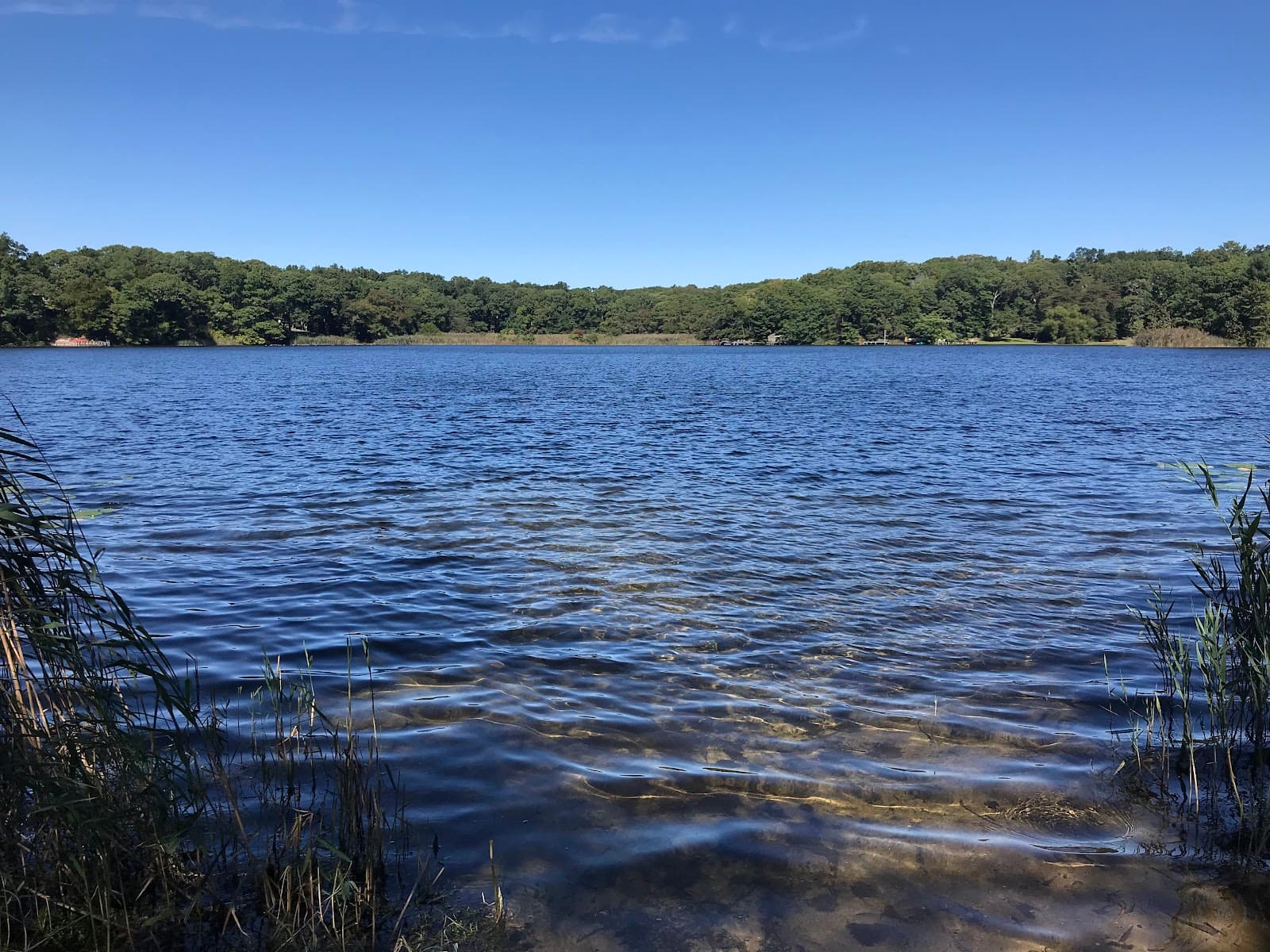 Laurel Lake Preserve - Image 1