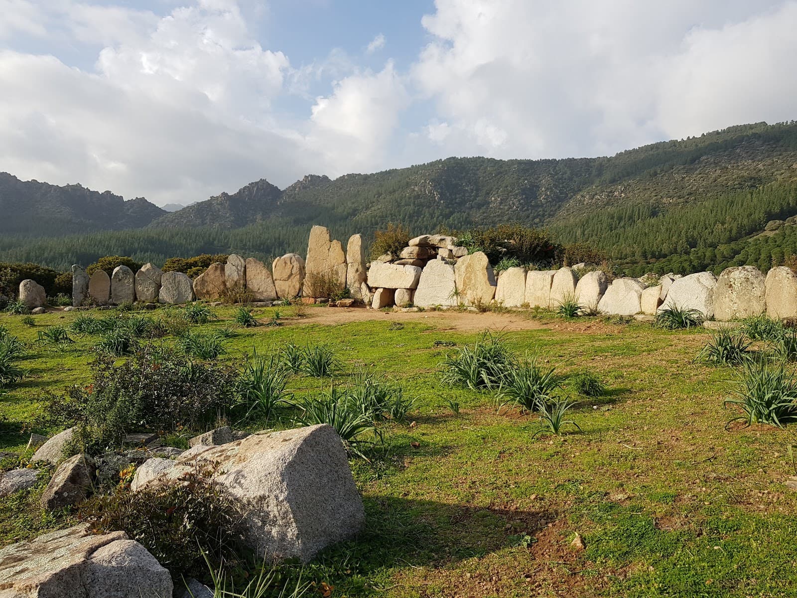 Tomba dei Giganti di Osono (Triei) - Image 1
