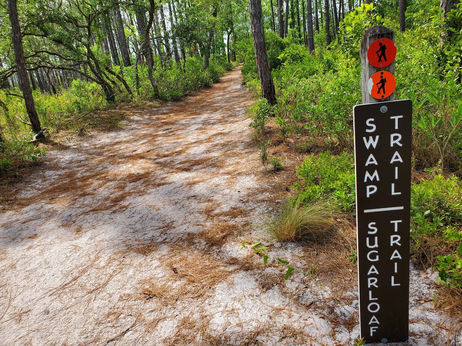 Seasonal Pumpkin Patches