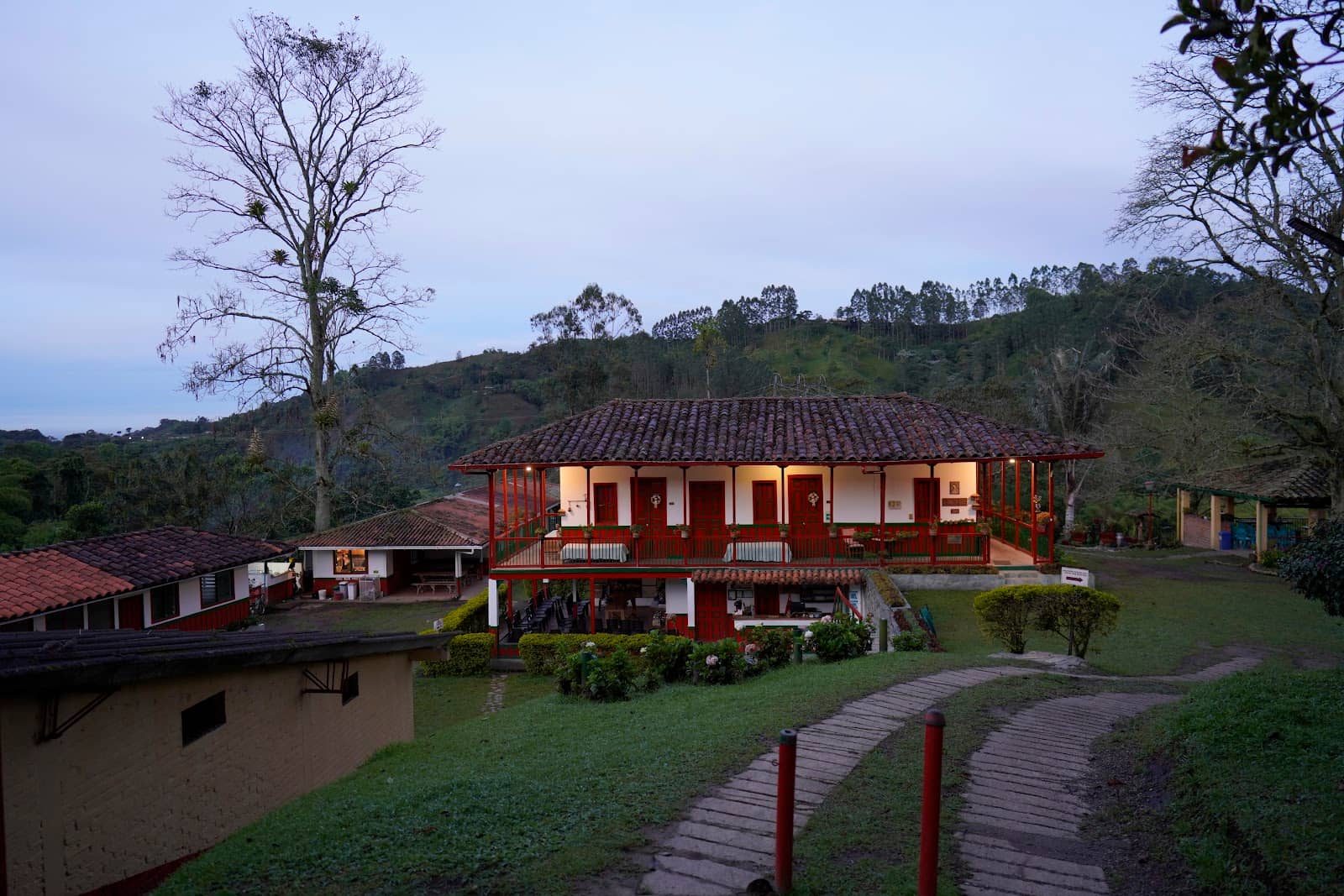 Coffee Tasting Experience