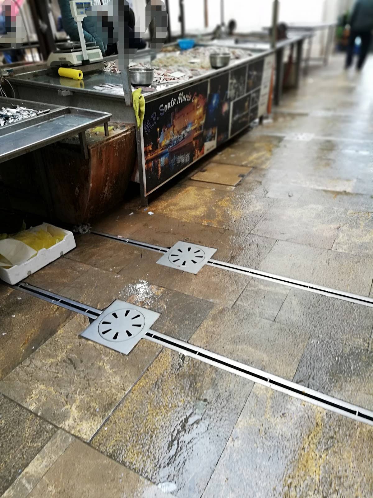 Variety of Popular Catches