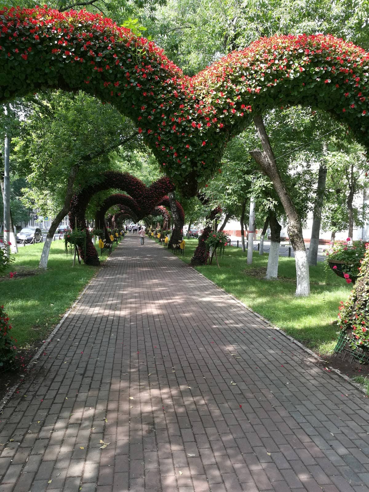 Botanical Garden of the Russian Academy of Sciences
