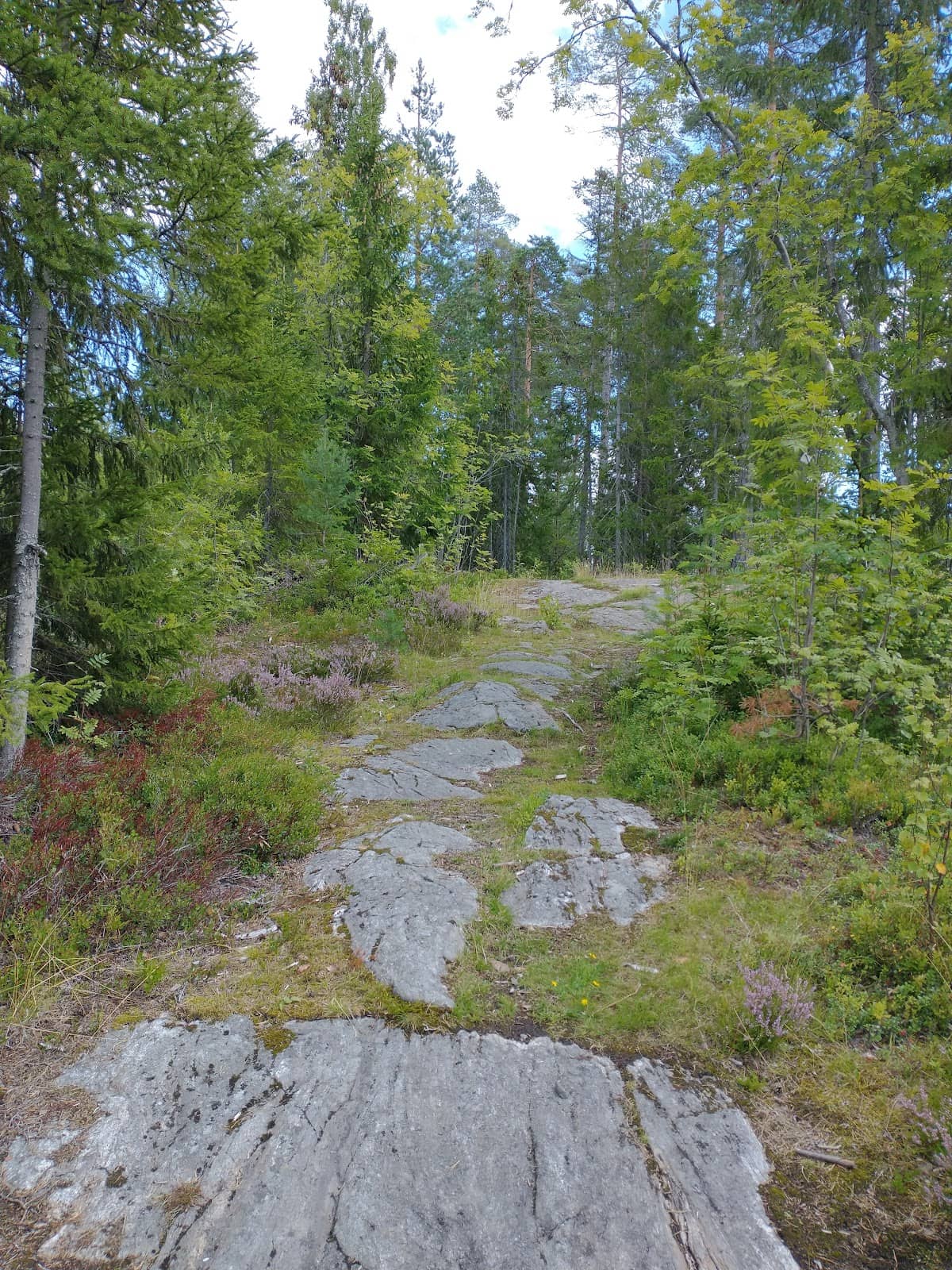 Vertical photo