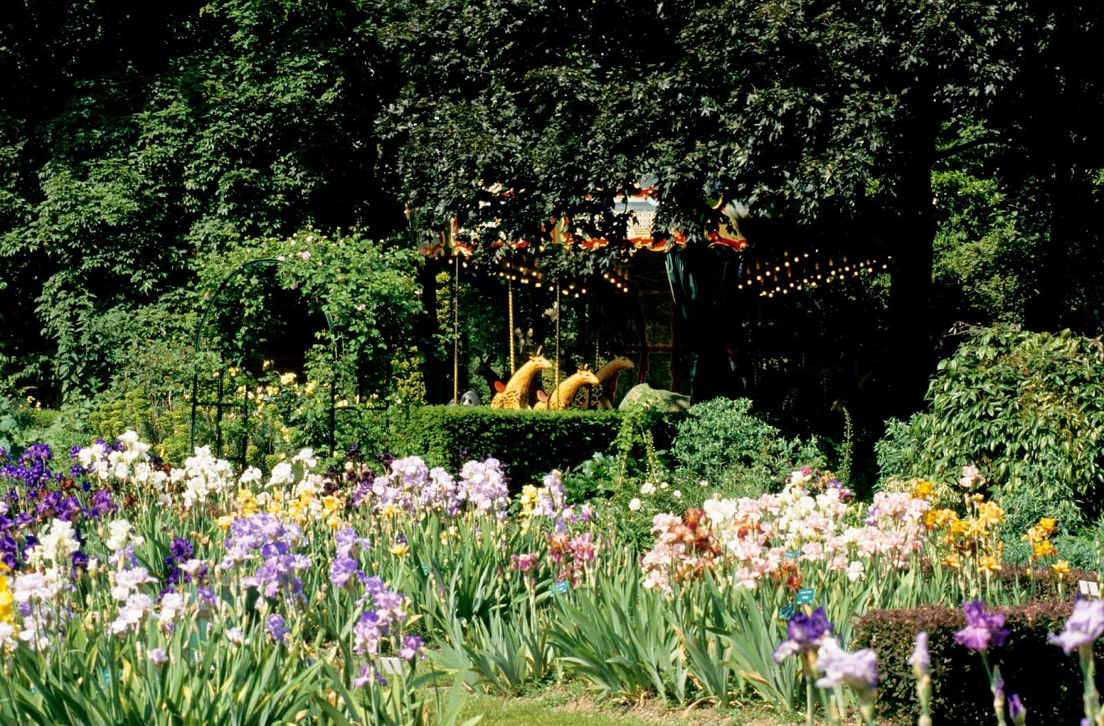 Jardin des Plantes (Iris Garden) - Image 1