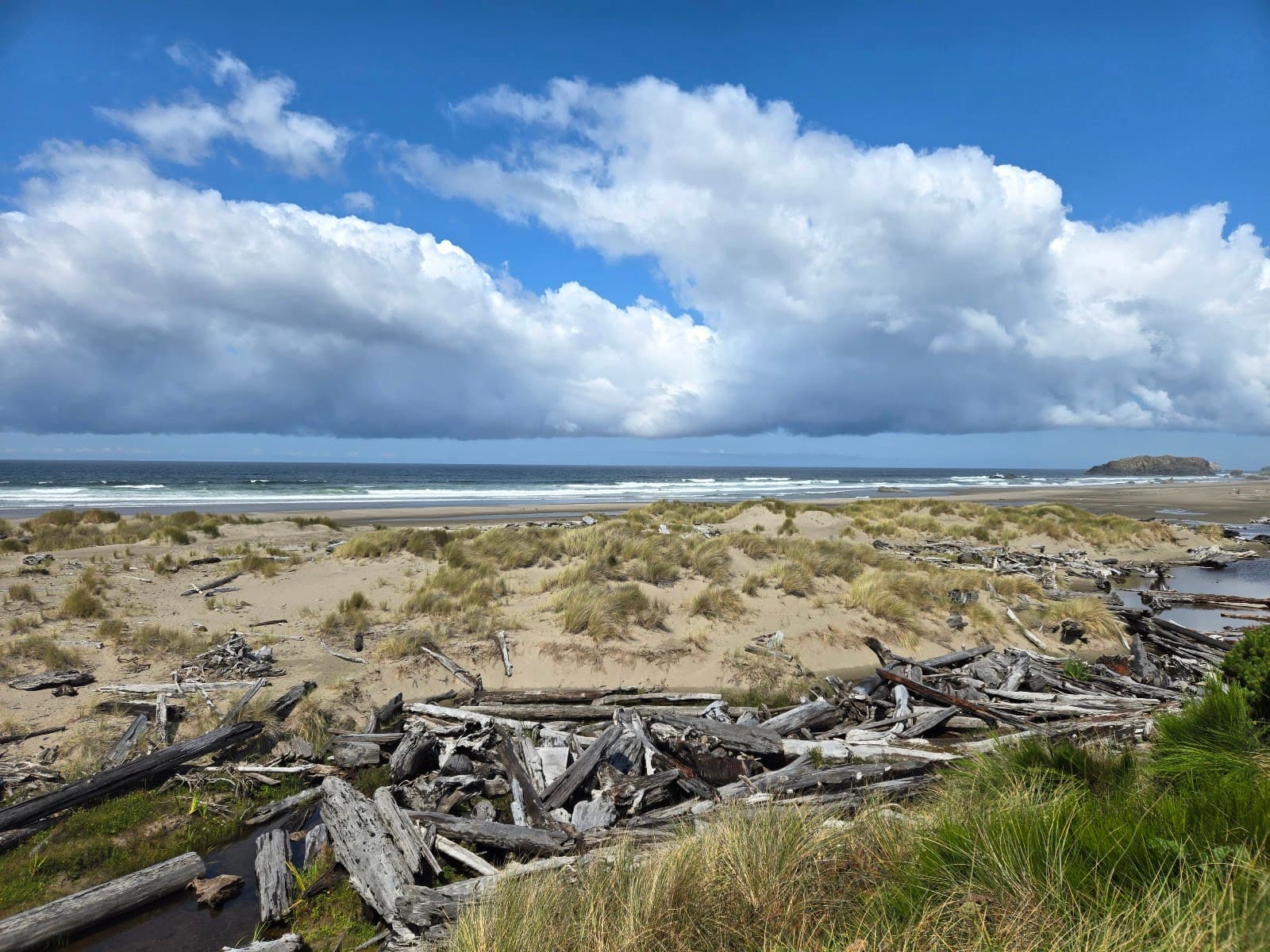 China Creek Beach - Image 1